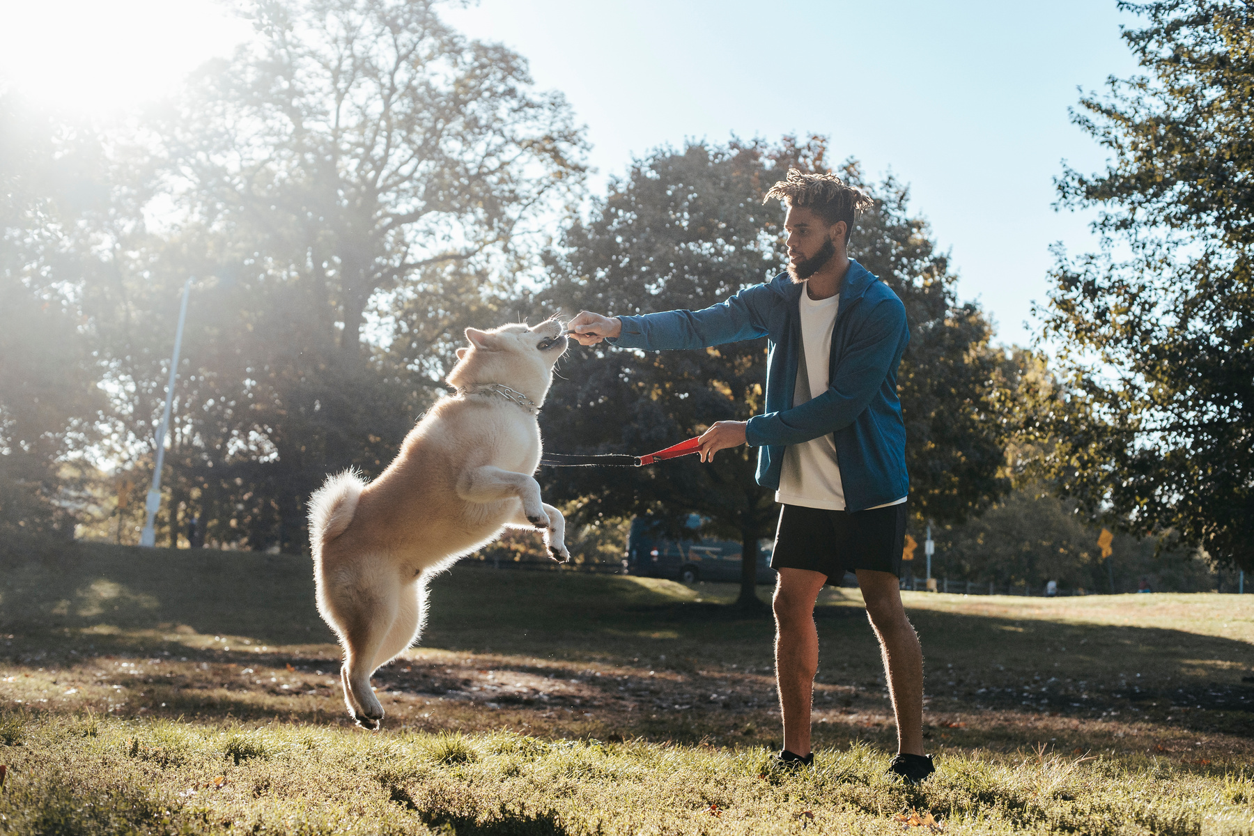 Young black man playing with dog during training in park